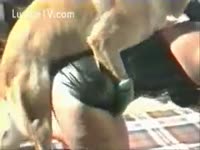 MILF hardcore animal canine sex